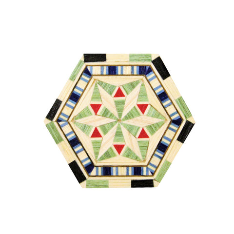 Green hexagon fridge magnet